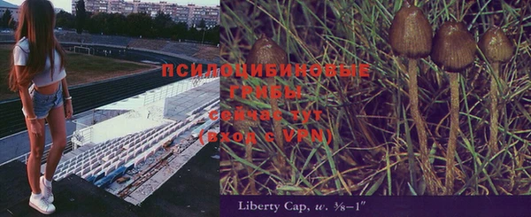 а пвп мука Заводоуковск